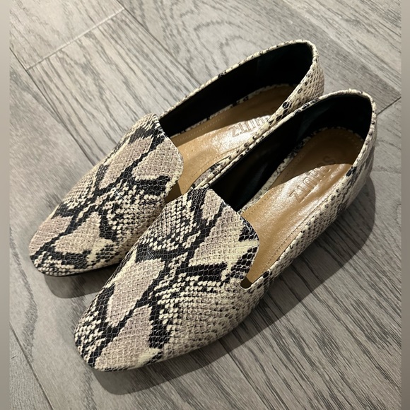 Schutz Flats - Picture 3 of 8